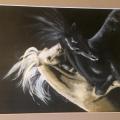 les chevaux 