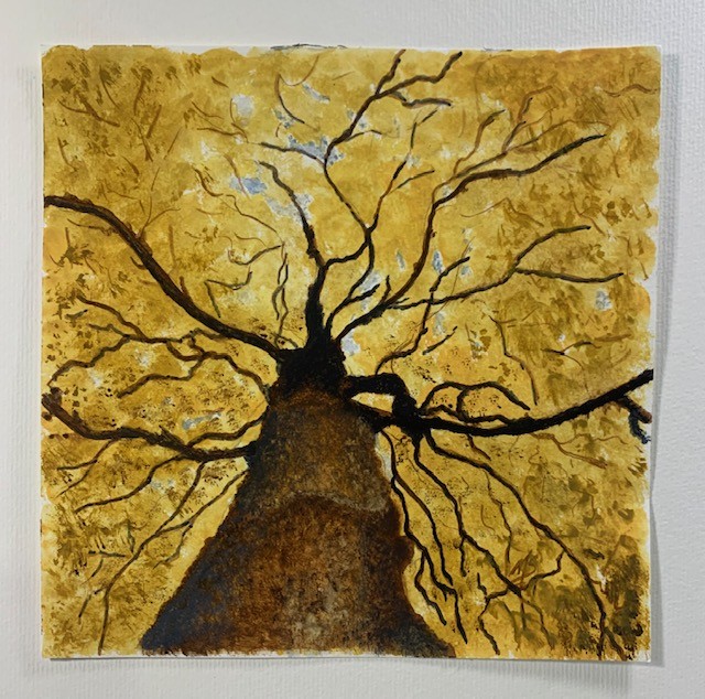 8 l arbre jaune